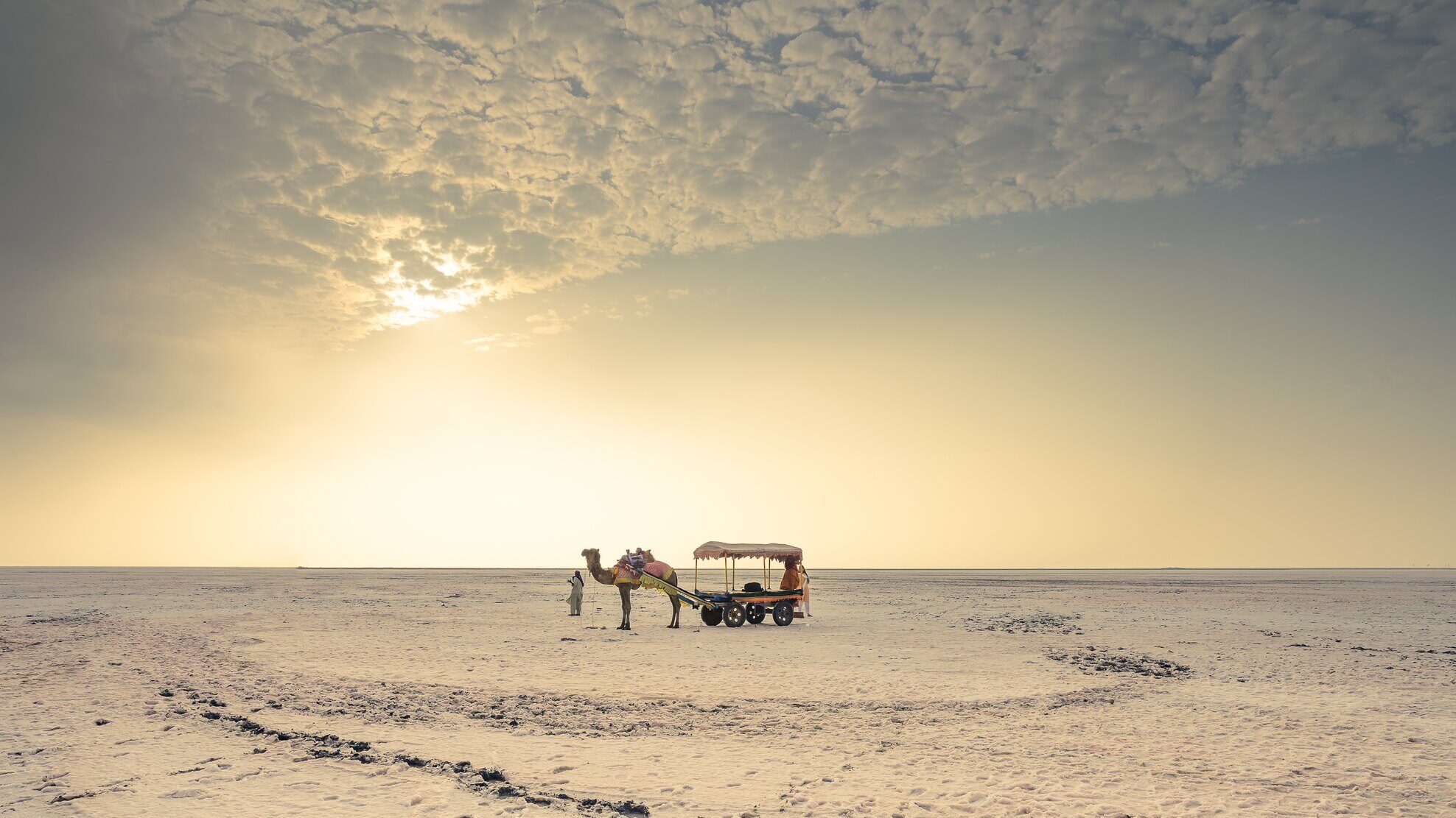 Pitch Your Tent and Explore the Wonders of Rann Utsav